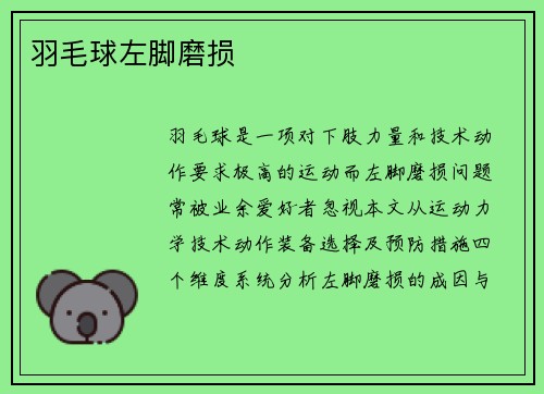 羽毛球左脚磨损